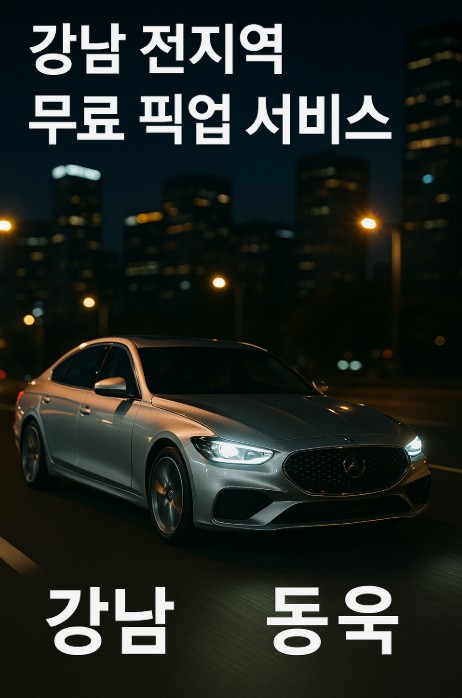 강남 유흥 추천
