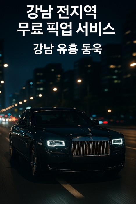 강남 유흥업소 종류
