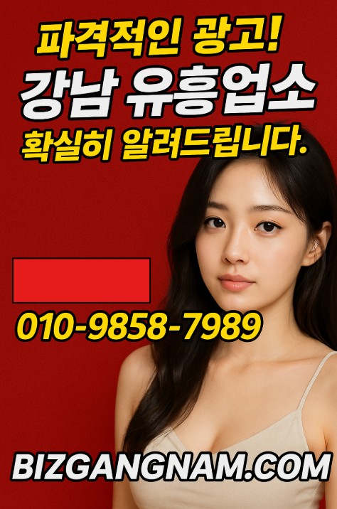 강남 유흥 종류 강남 유흥 종류
