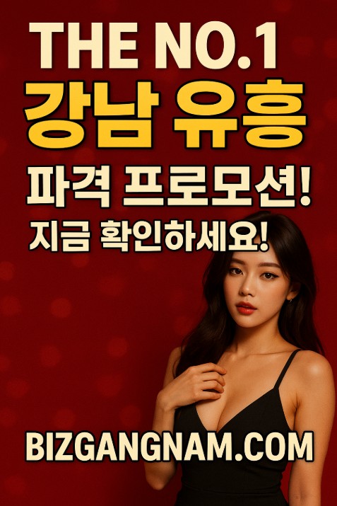 강남 유흥 종류 강남 유흥 종류