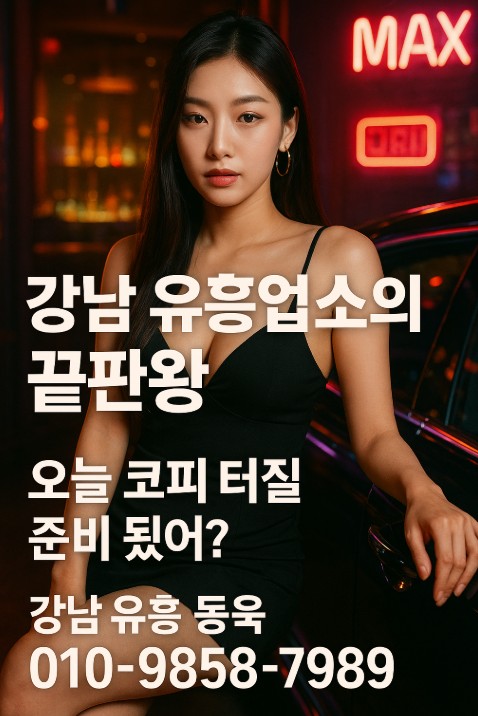 강남 유흥업소 종류 강남 유흥업소 종류