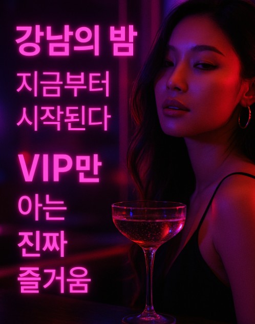 강남 유흥업소 종류 강남 유흥업소 종류